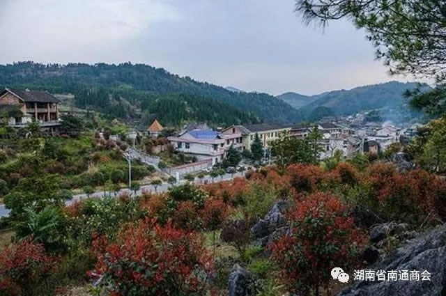 1757656850205656.jpg 未命名-2.jpg