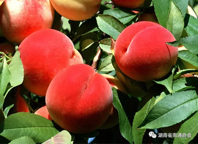 1757657918884732.jpg 未命名-2.jpg