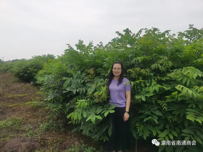 1757662552186621.jpg 未命名-2.jpg