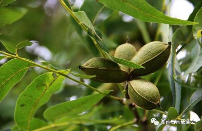 1757662699138898.jpg 未命名-2.jpg